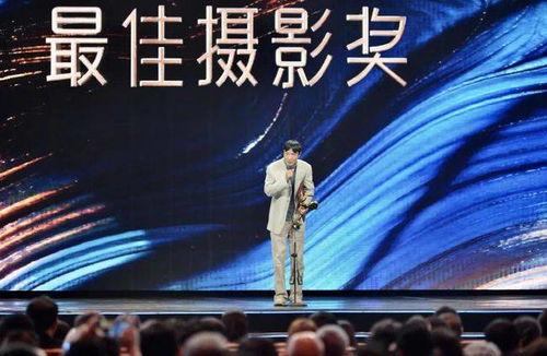 电影奖项,年度电影奖项盛宴回顾